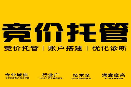 SEM外包服务优势案例分析